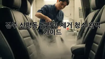 경주 신평동 곰팡이 제거 청소 완벽 가이드